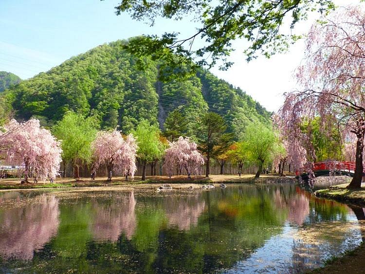 22年 湯沢中央公園 行く前に 見どころをチェック トリップアドバイザー