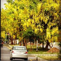 Road inside the campus!