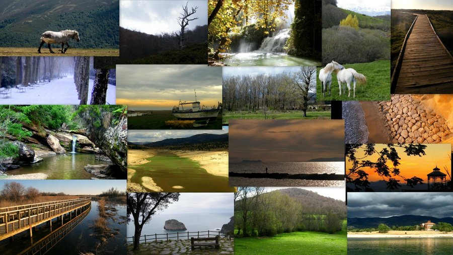 Collage imágenes del Valle
