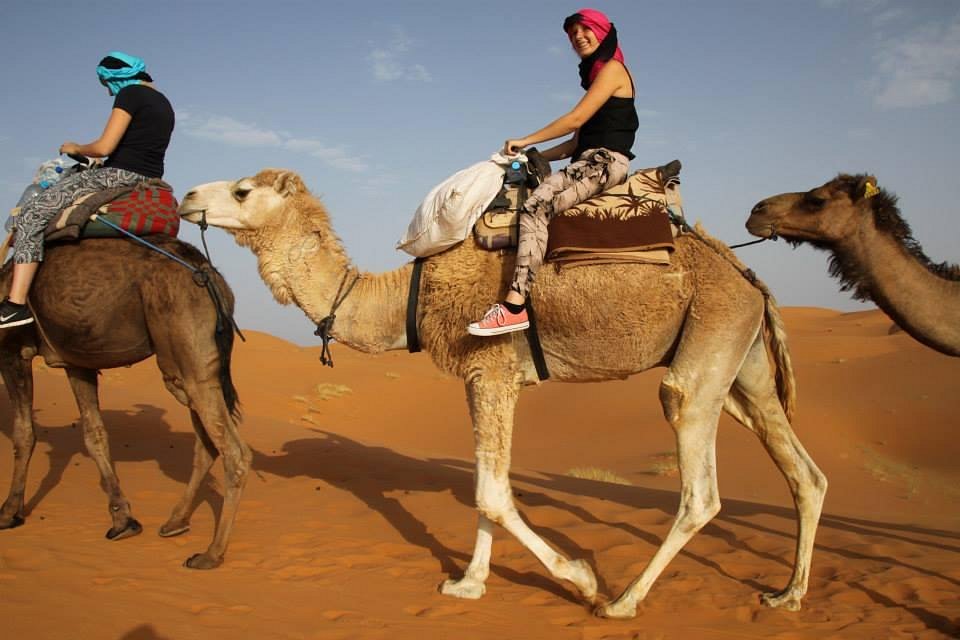 sahara camel trips review