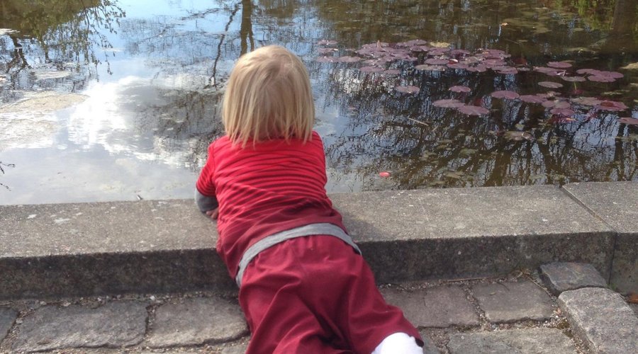 My son looking for fish in the pond