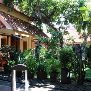 Hotel ground
