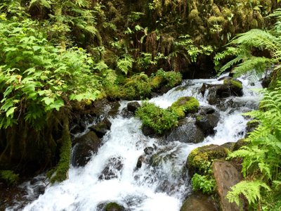 Troutdale, OR 2024: Best Places to Visit - Tripadvisor