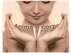 Anima e Corpo Torino