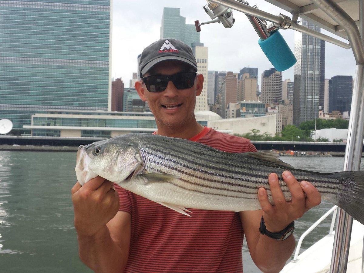 Striped Bass Fishing in New York Harbor