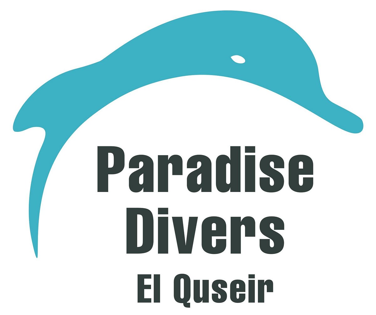 Paradise Divers El Quseir O Que Saber Antes De Ir Atualizado 2023 4853