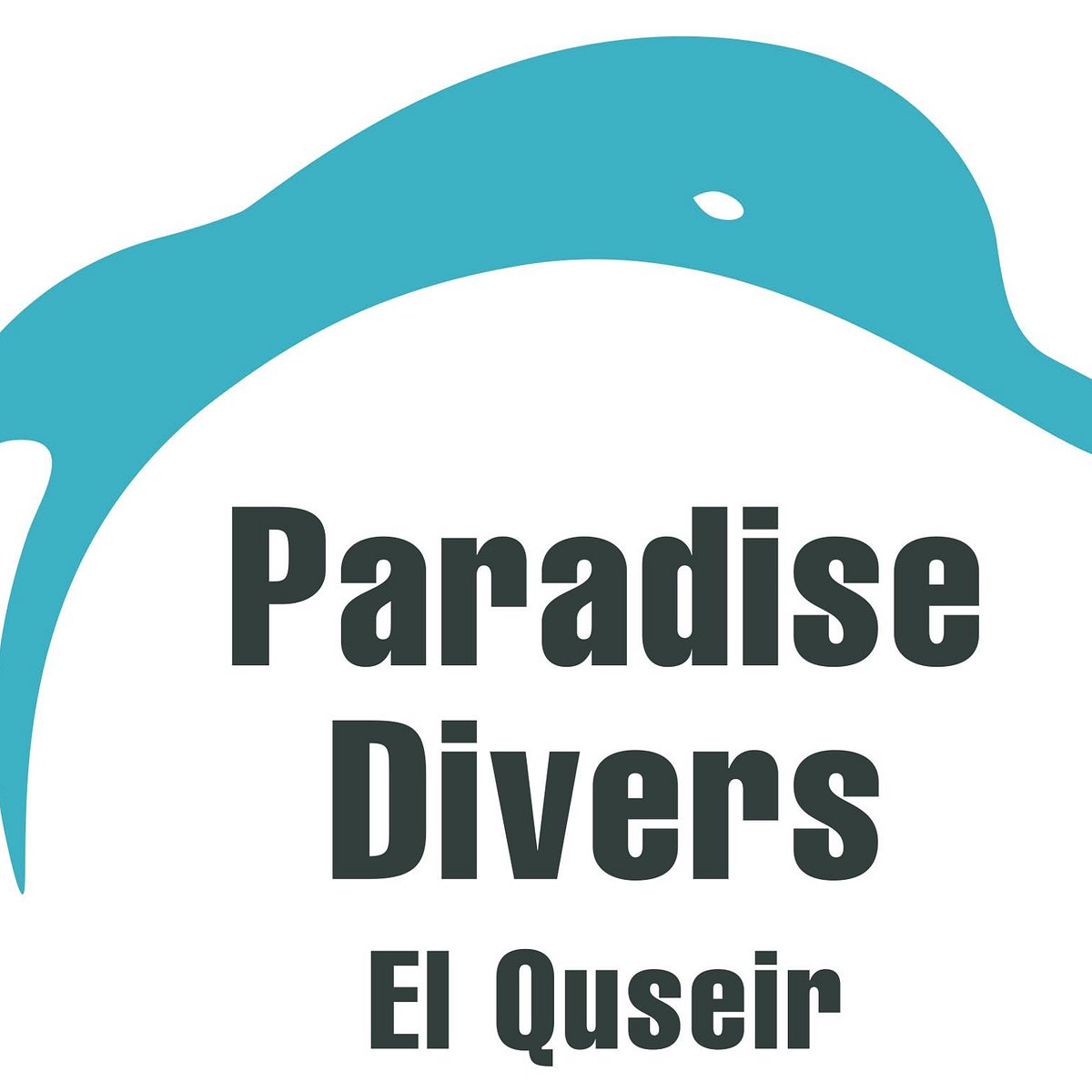 Paradise Divers El Quseir Lo Que Se Debe Saber Antes De Viajar