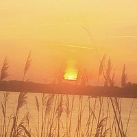 Bayville sunsets