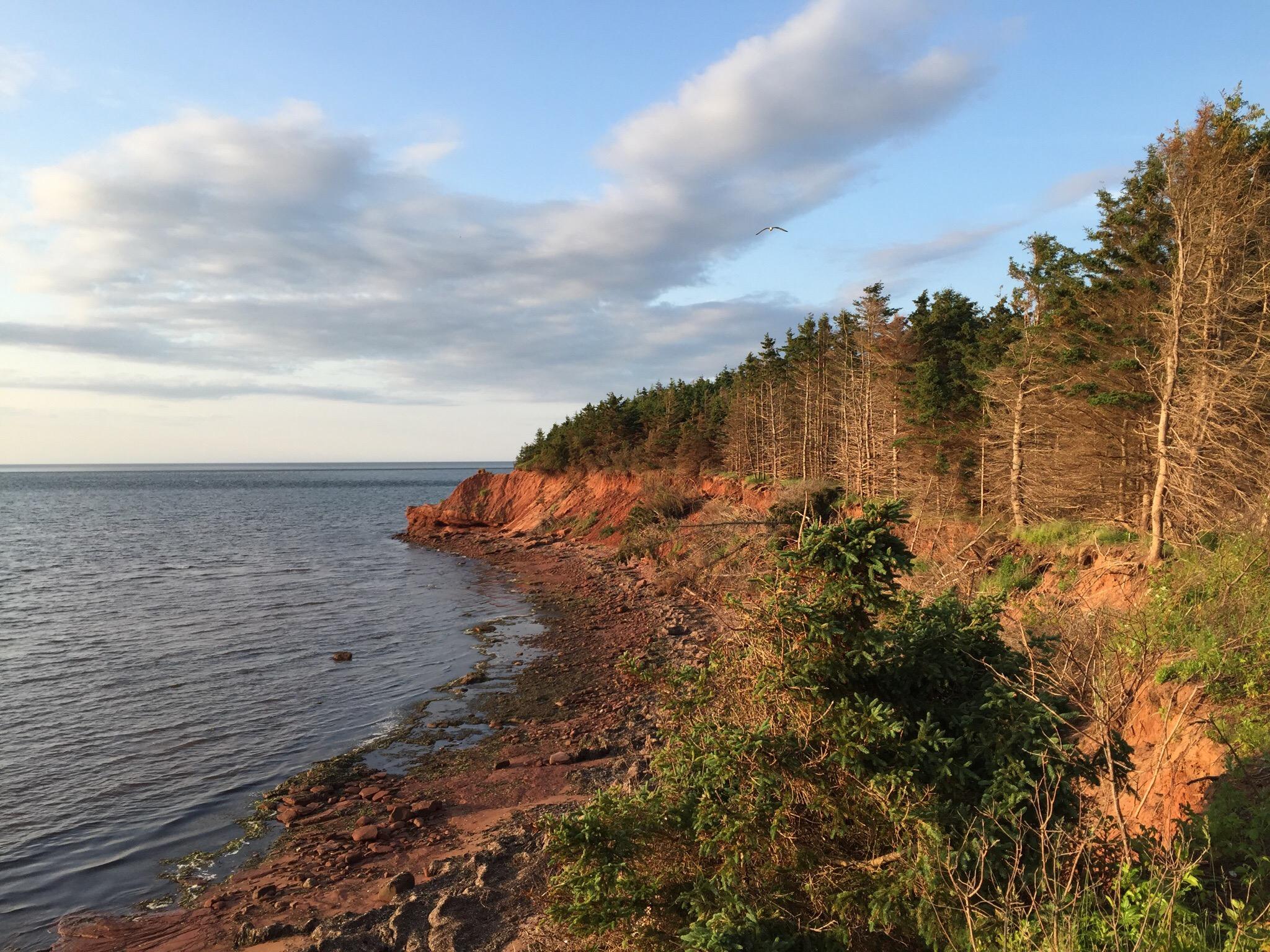 THE 10 BEST Prince Edward Island Parks Updated 2024 Tripadvisor