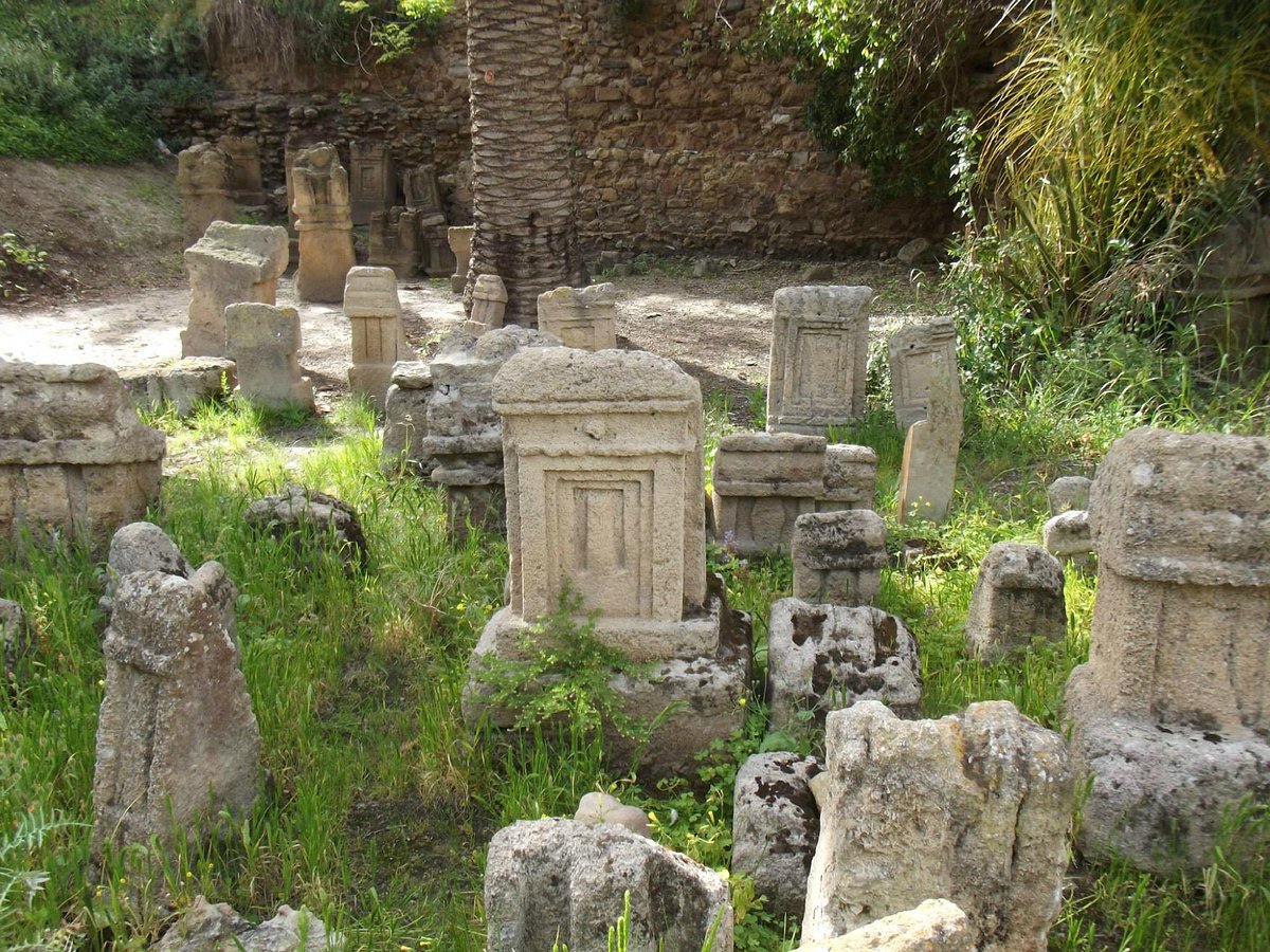 Tophet de Carthage, Карфаген: лучшие советы перед посещением - Tripadvisor