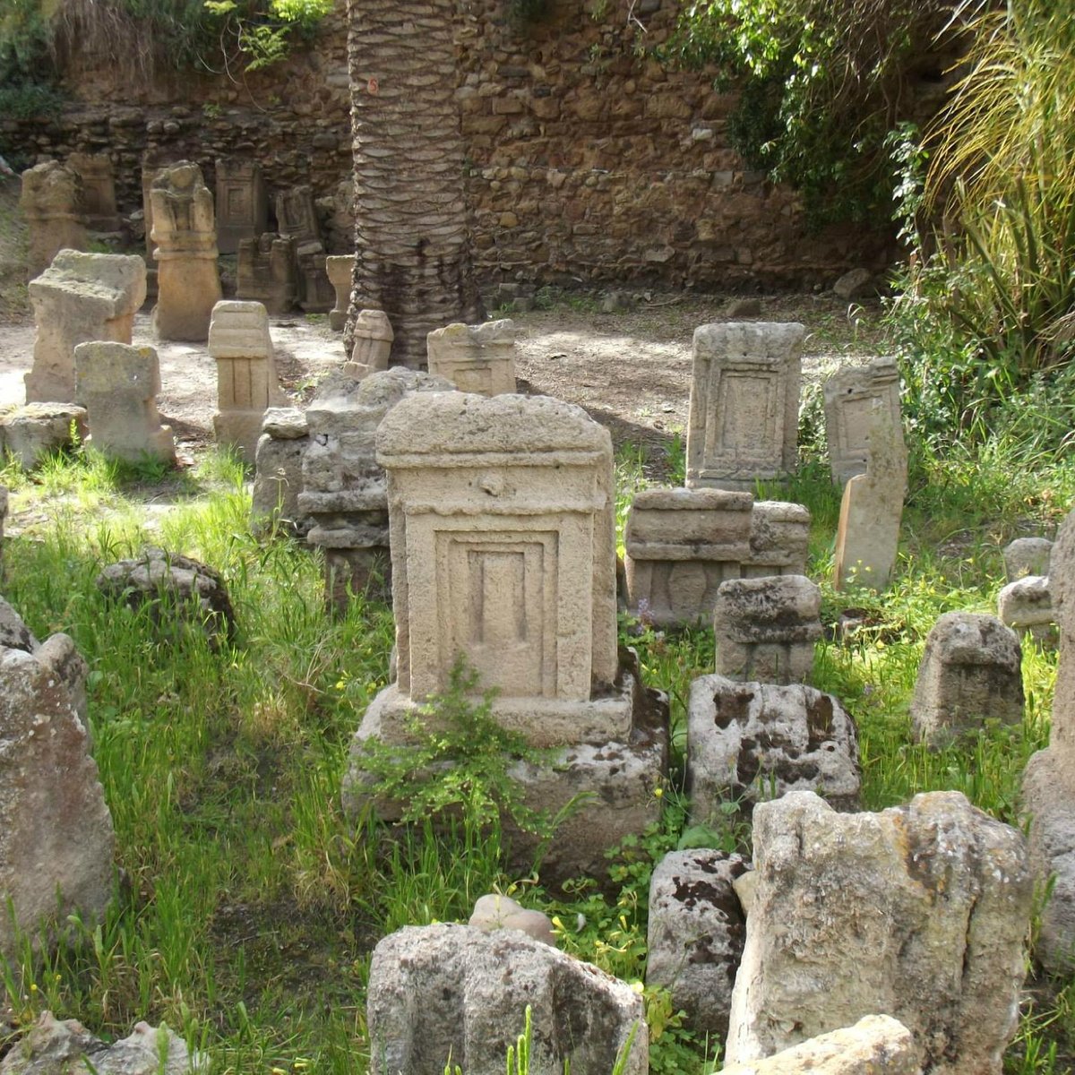 Tophet de Carthage, Карфаген: лучшие советы перед посещением - Tripadvisor