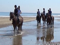 Saltburn Riding School (2024) All You Need To Know Before You Go (with 