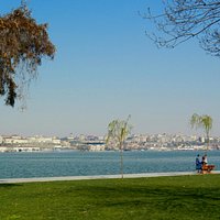 The park