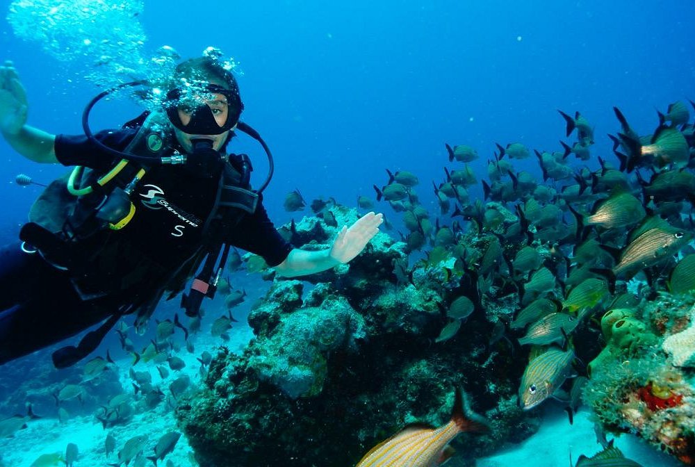 cancun diving school