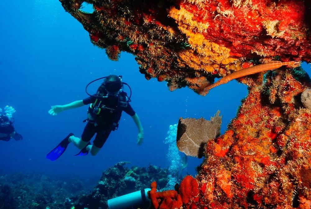 cancun diving school