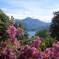 A view from the path