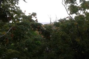 Phòng & Phòng Suite