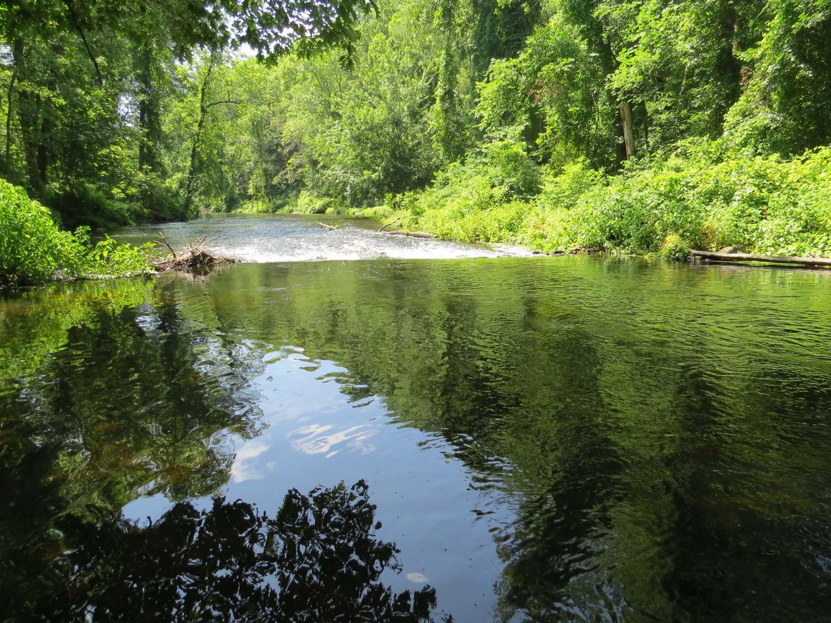 Escape to the Wilderness: Unveiling the Beauty of Stephens State Park, New Jersey