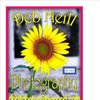 Deb N