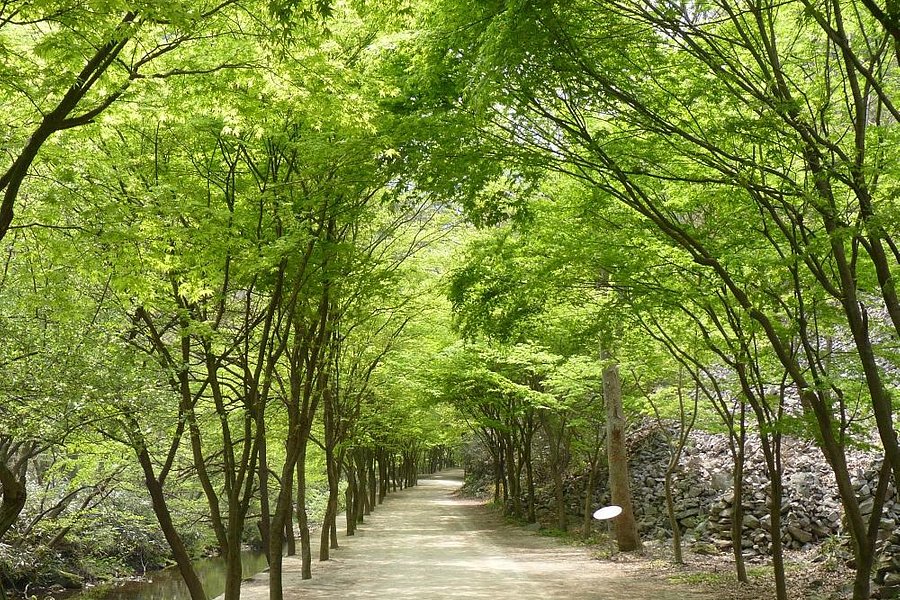Gangcheonsan County Park image