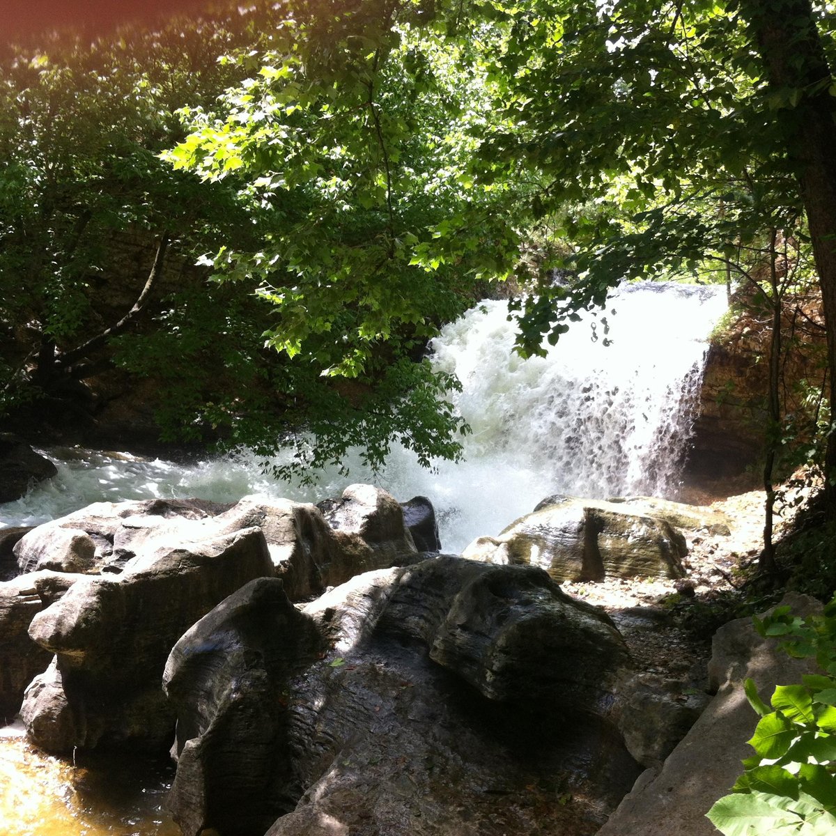 Tanyard Creek Nature Trail All You Need To Know Before You Go 2024