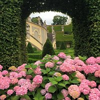 view of the garden