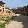 Things To Do in Private Tour to Fertile Crescent - Mesapotamia - 10 Days, Restaurants in Private Tour to Fertile Crescent - Mesapotamia - 10 Days