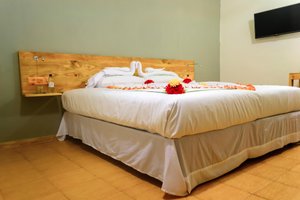 Phòng & Phòng Suite