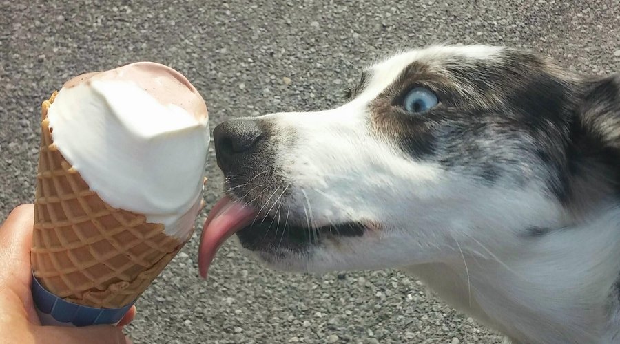 Soft Ice Cream!  Under the deck!