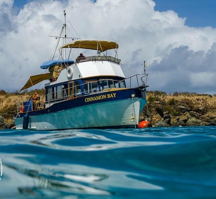 сент-джонс fishing, cinnamon bay virgin, o bay