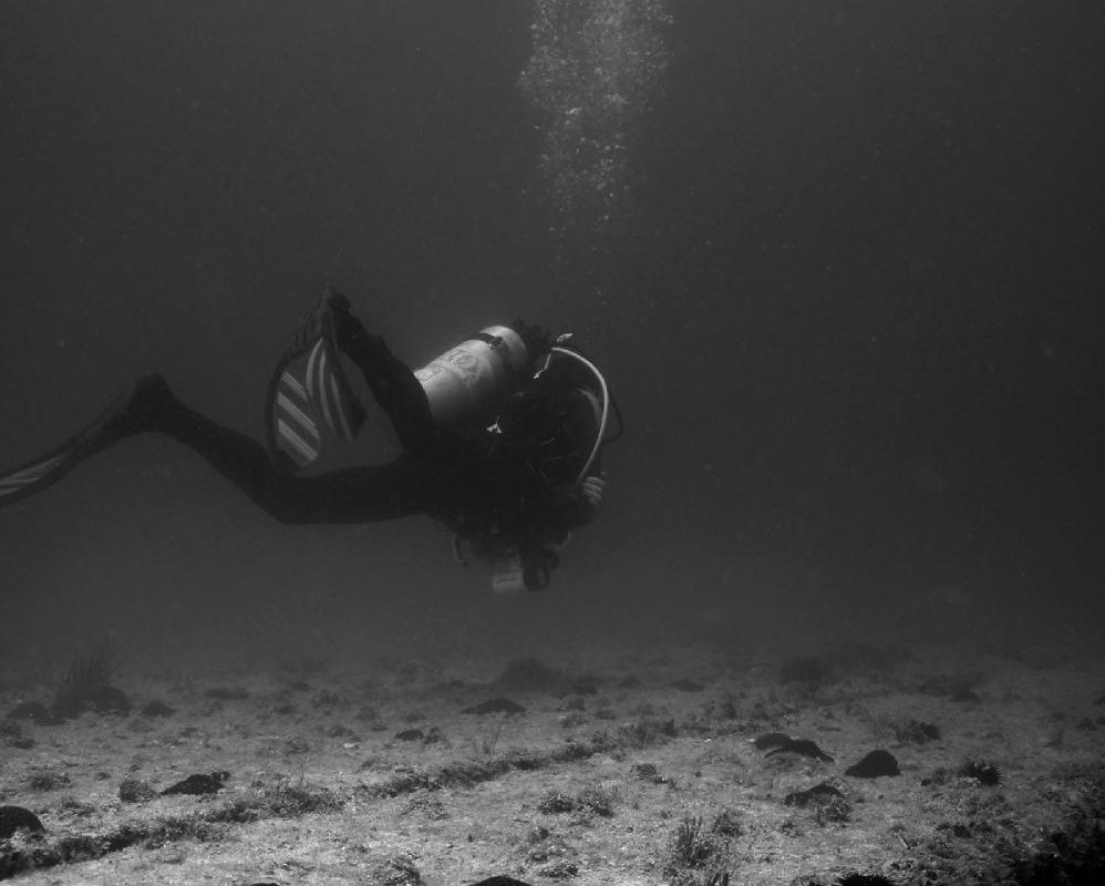 Al Mahara Diving Center Abu Dabi 2023 Qué Saber Antes De Ir Lo