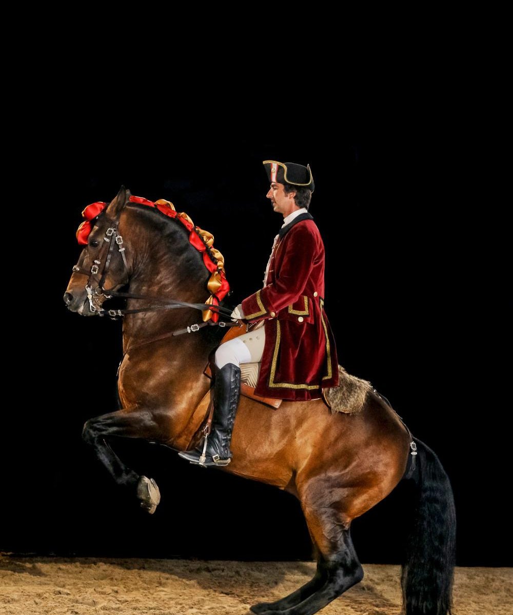 Diferença entre Andar a Cavalo e Montar Cavalo :: Dressage Arte Equestre