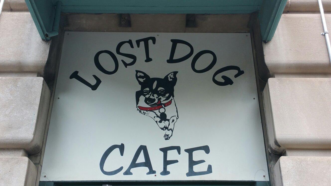 Lost dog store cafe near me