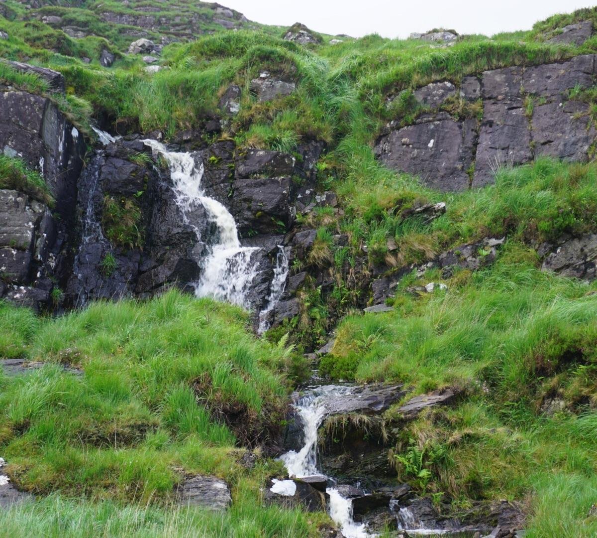 Долина черней. Black Valley.