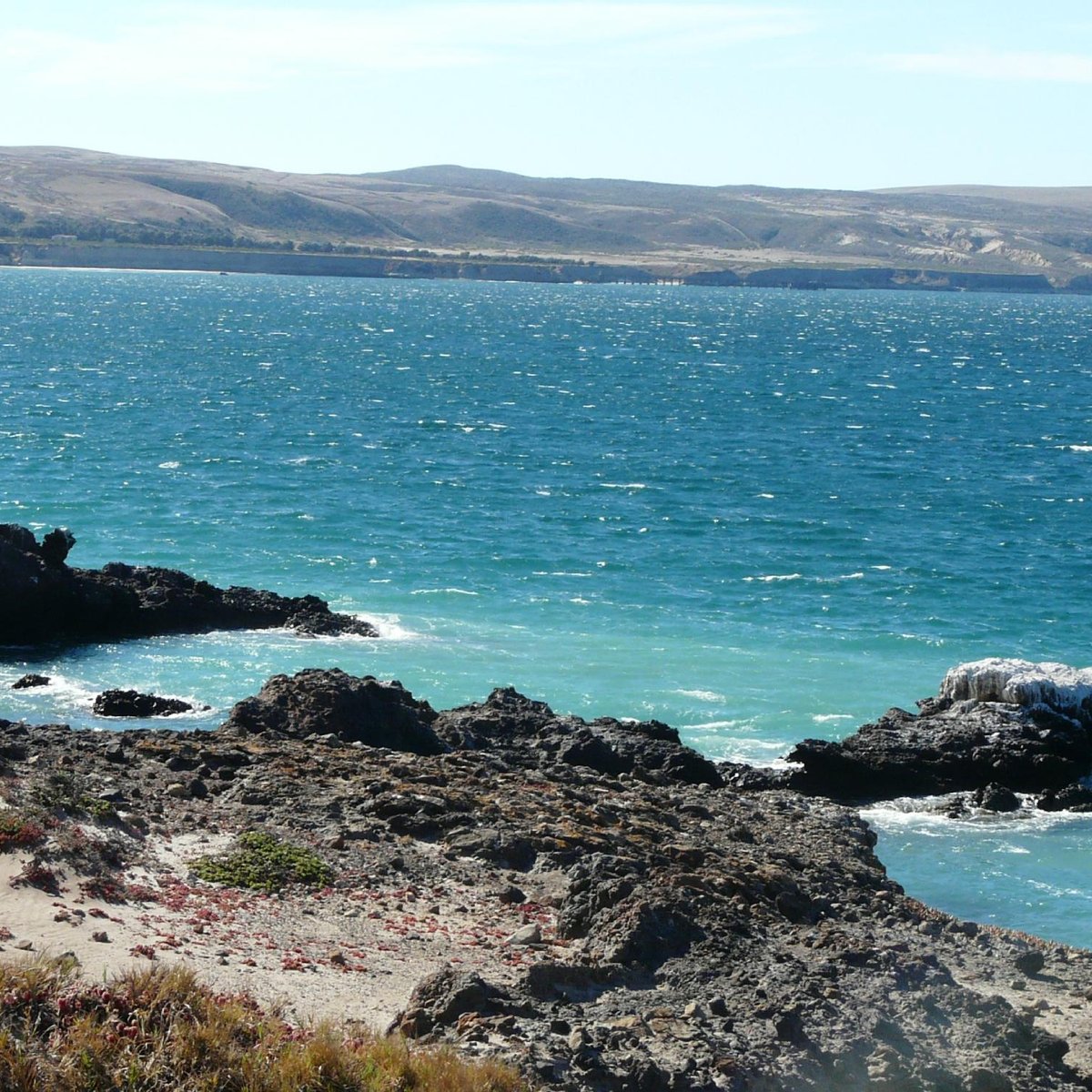 Santa Rosa Island (Channel Islands National Park): All You Need to Know