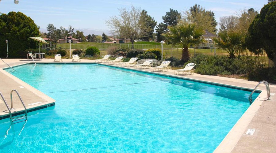 Awesome Pool and View