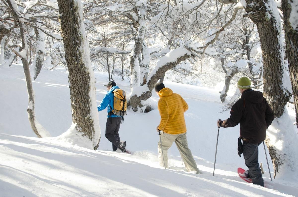 Excursões, visitas guiadas e atividades em Esquel 