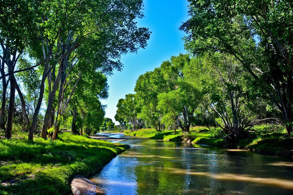 San Pedro Riparian National Conservation Area All You Need To Know