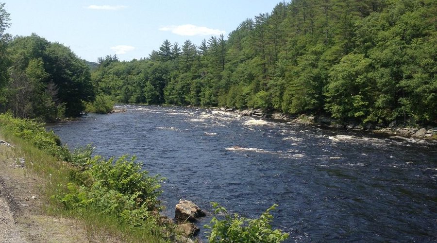 View of the river out front
