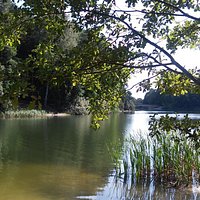 Jezioro Długie w Olsztynie