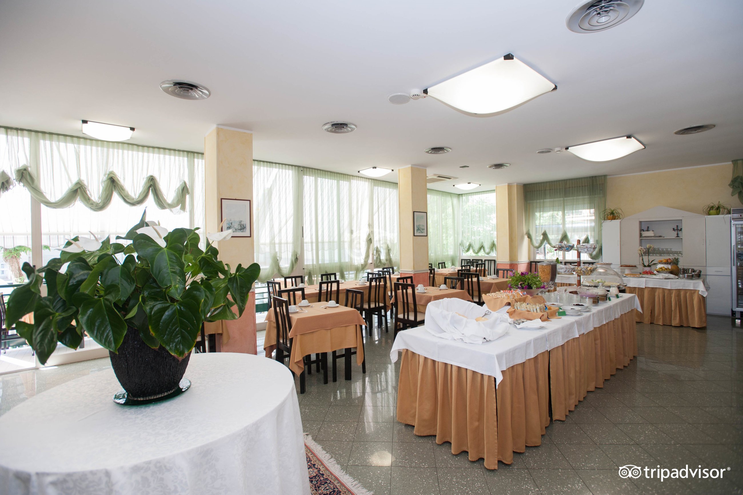 HOTEL PLAZA (Rimini/Rivazzurra) - B&B Reviews & Photos - Tripadvisor