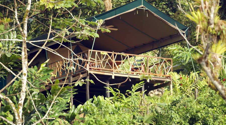 Luxury Safari Tent