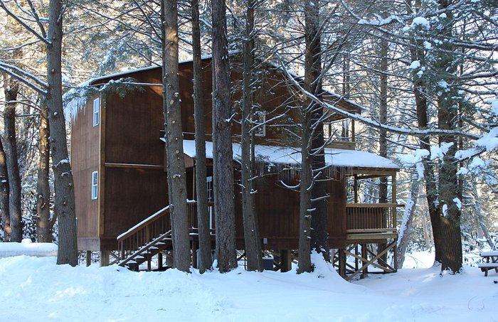 12 Ways To Keep Mice Out of Cabin During Winter