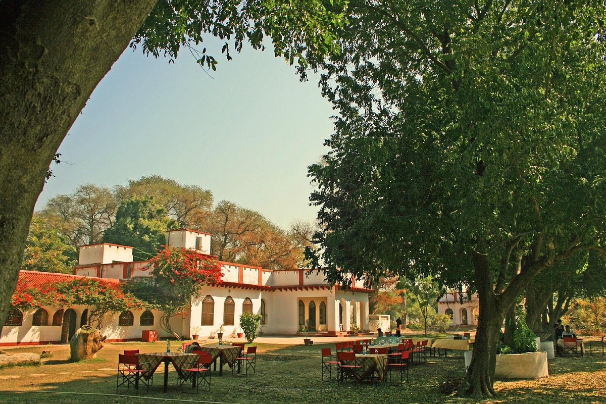 chambal safari lodge jarar bah agra