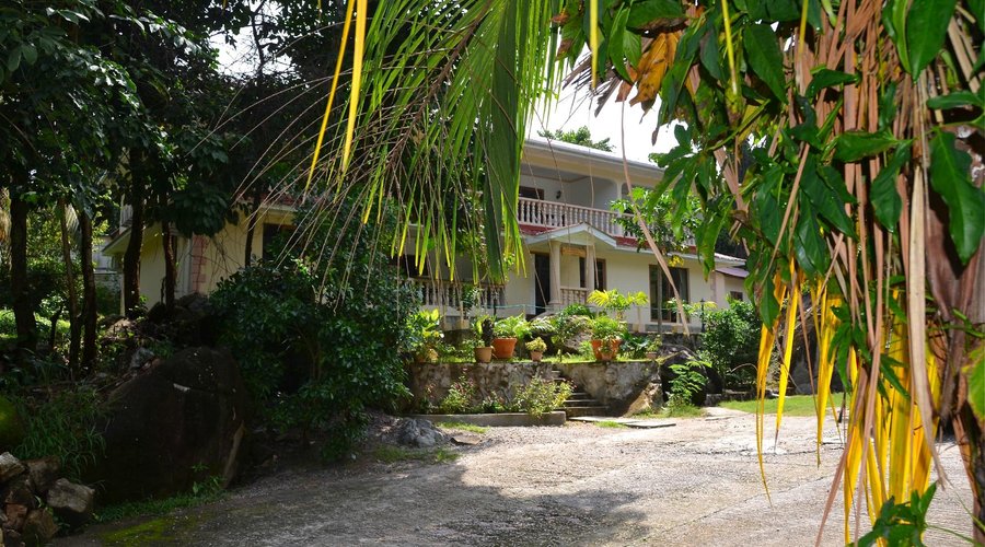 Frontal view of Forest Lodge