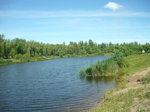Какая река протекает в Омске