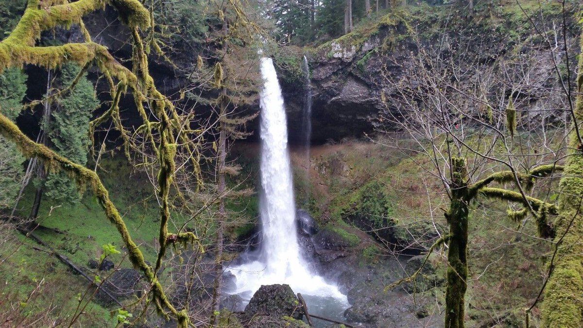 Silver Falls State Park: North Canyon Nature Play Area - Learning