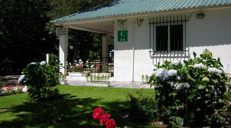 Recepción