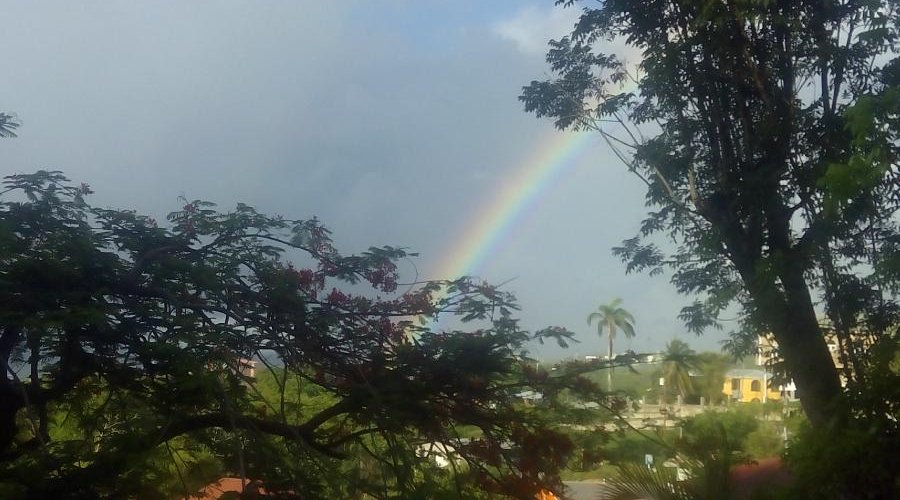 The Rainbow Sky