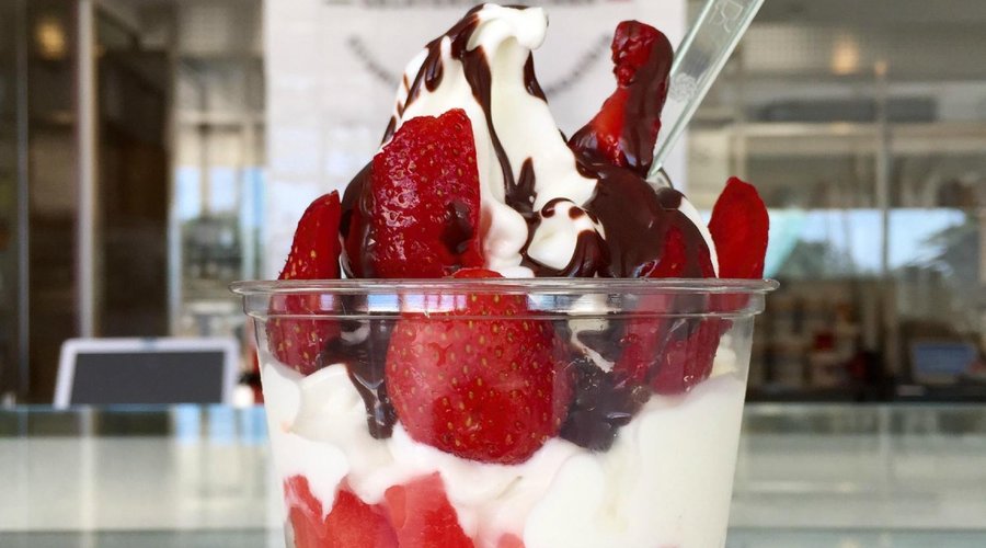 frozen yogurt